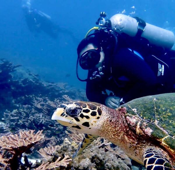 Diving with Turtles