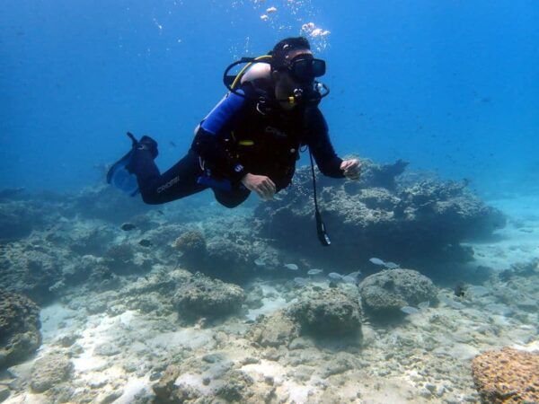 Oman Diving
